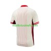 Maillot de Foot Canada Copa America Extérieur 2024